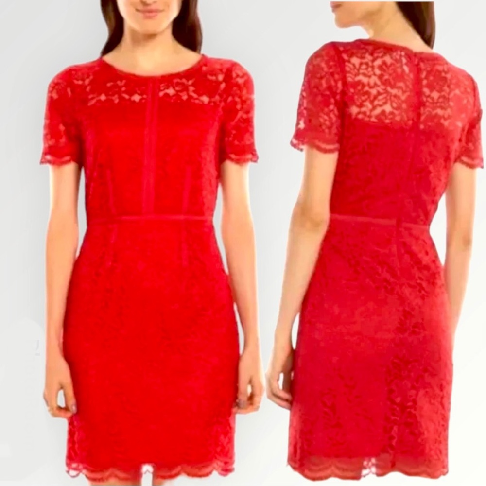 Elle Lady in Lace Sheath Dress